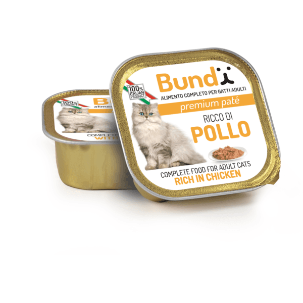 BARQUETTE BUNDY POULET 90 GR